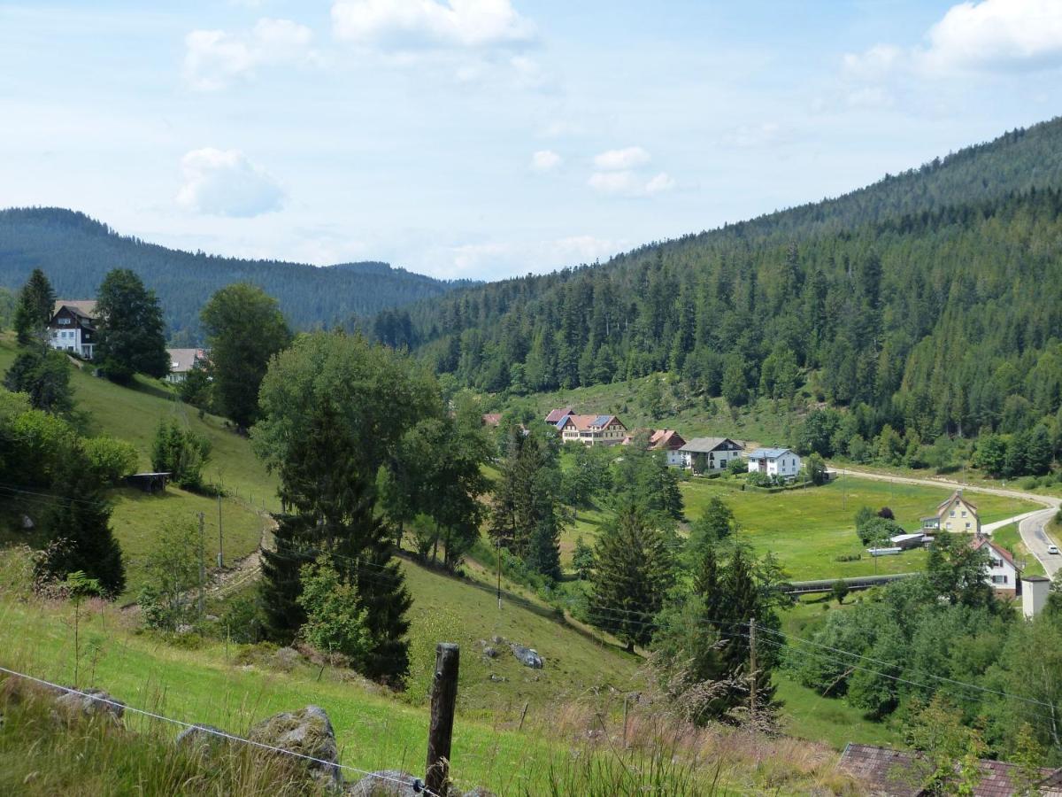 Ferienwohnung Haus Wiesengrund Forbach Zewnętrze zdjęcie